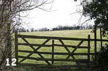 gate and stare